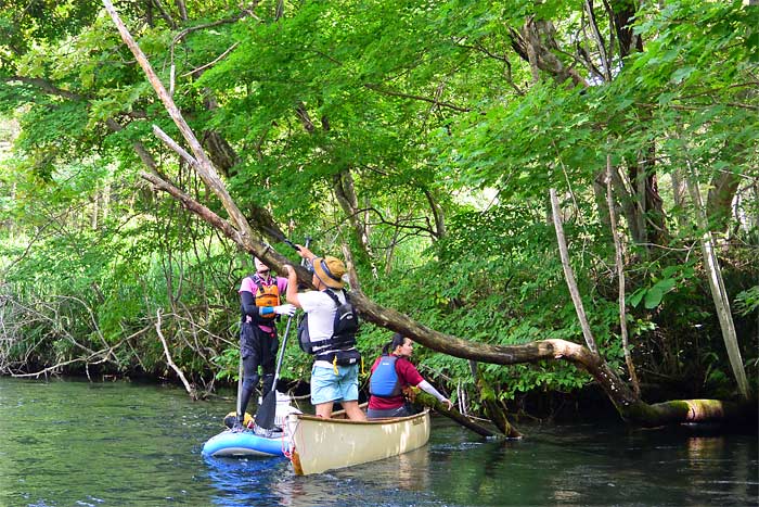 千歳川の川下り