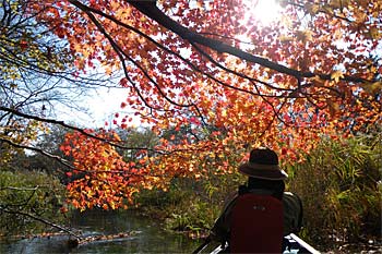 千歳川