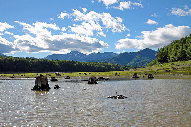 糠平湖から眺めるニペソツ山