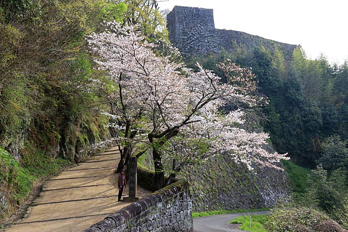 岡城跡