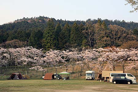 志高湖キャンプ場