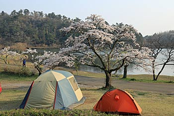 志高湖キャンプ場