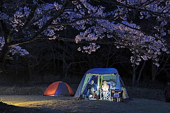 志高湖キャンプ場