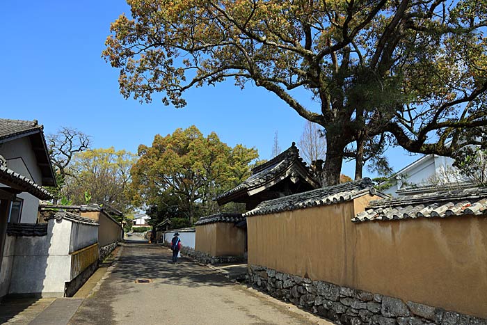 杵築城下町武家屋敷