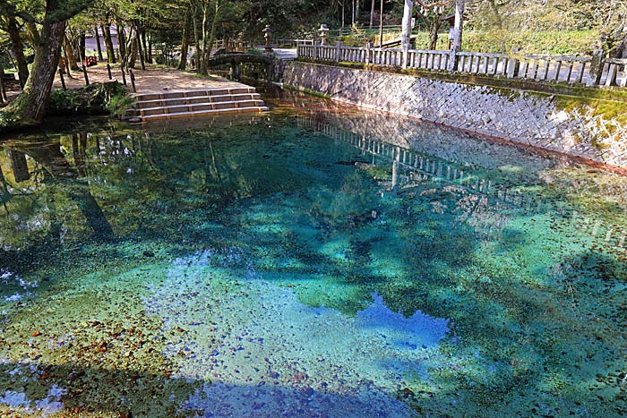 別府弁天池湧水