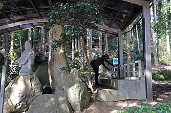 別府弁天池湧水