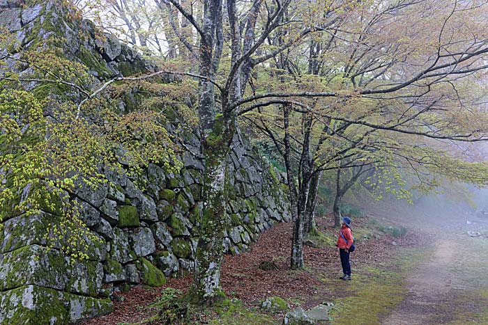 津和野城址