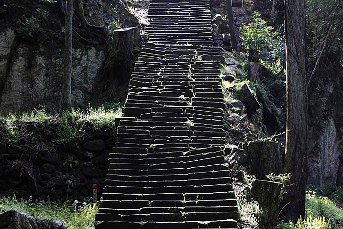 佐毘売山神社