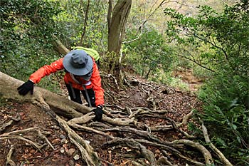 三徳山三佛寺登山道