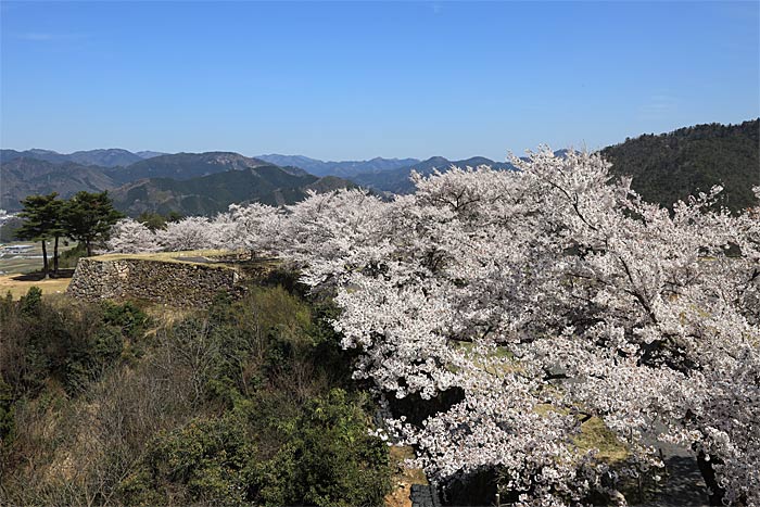 竹田城址