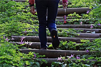 判官館森林公園