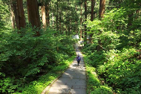 羽黒山参道