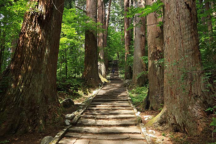 羽黒山参道