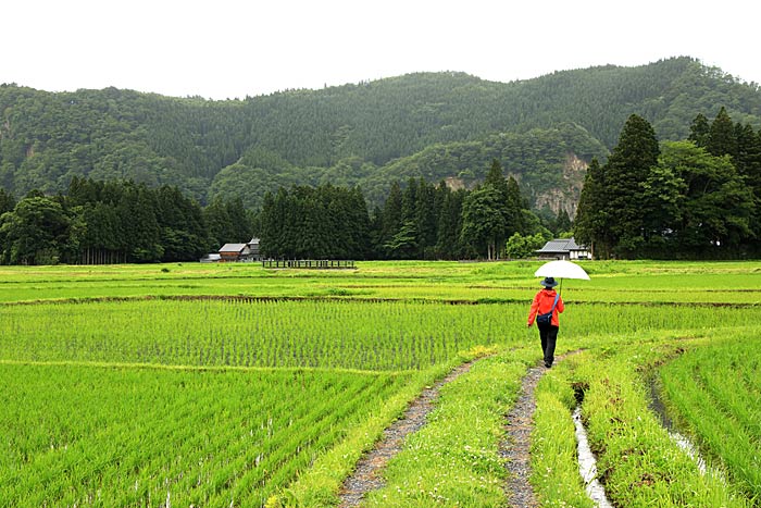 骨寺村荘園遺跡