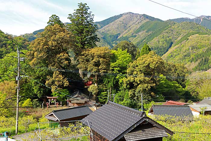 十根川重要伝統的建造物群保存地区