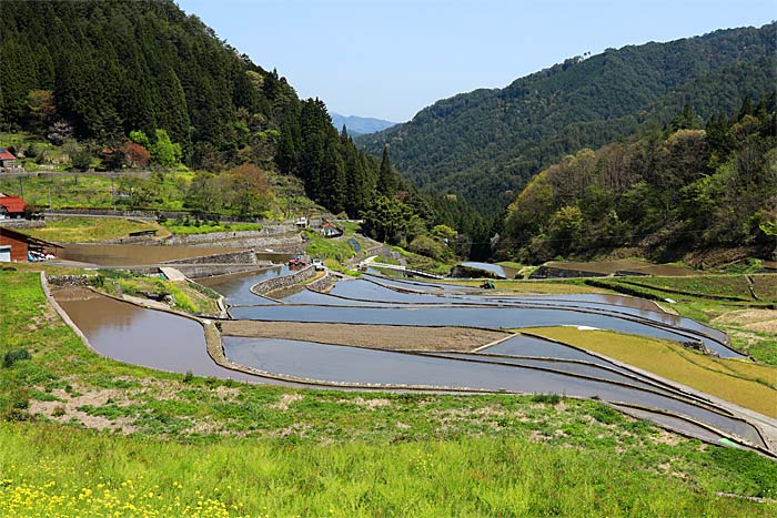 井仁の棚田