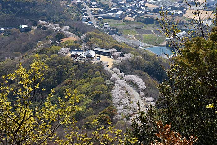 高屋神社