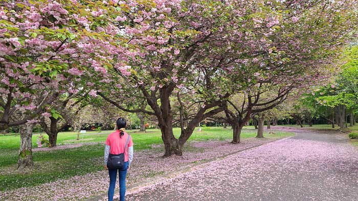 オソウシ公園