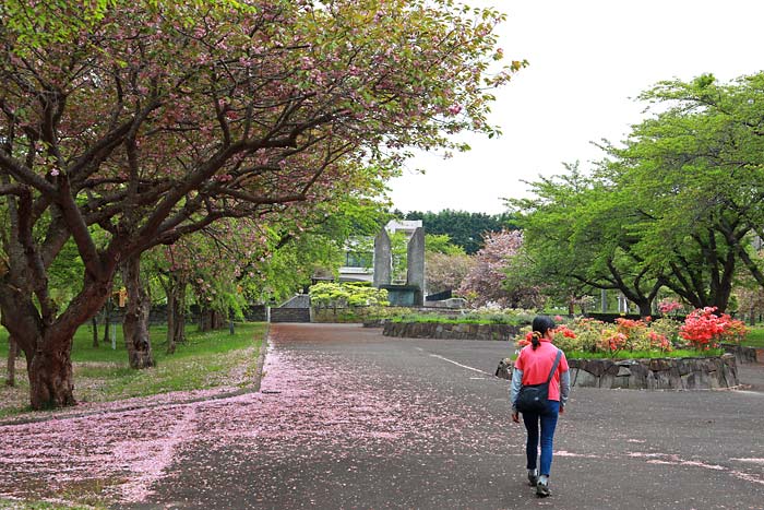 オソウシ公園