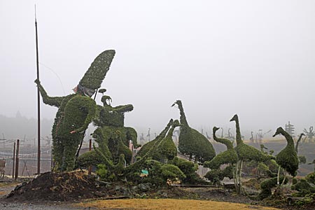 千羽鶴鹿公園