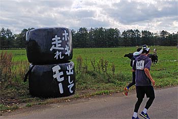 第41回別海町パイロットマラソン