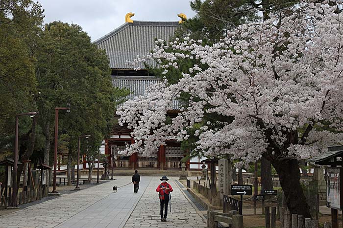 東大寺