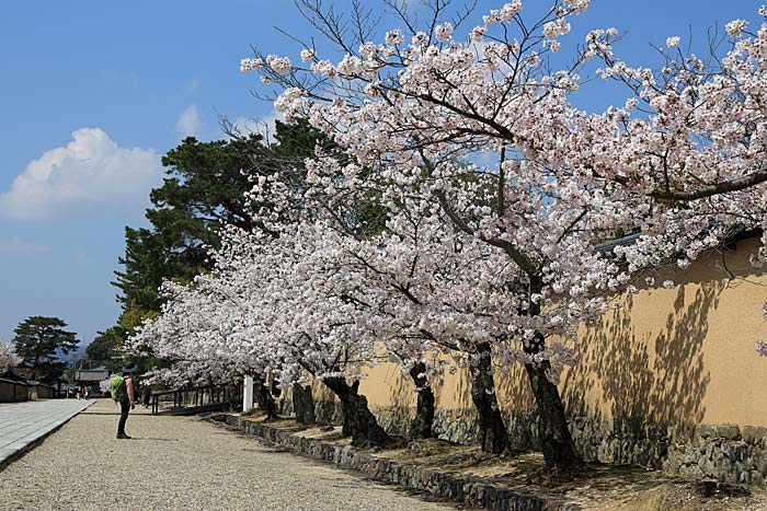 法隆寺