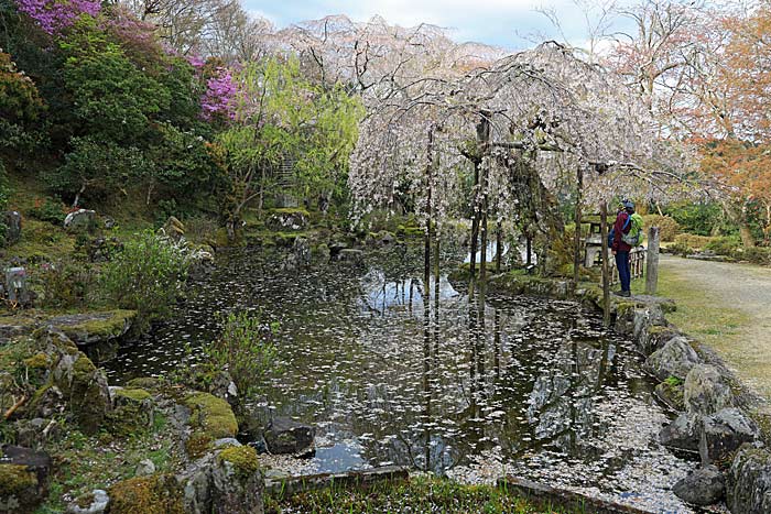 竹林院群芳園