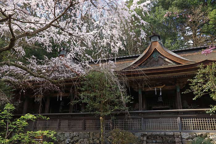 吉野水分神社