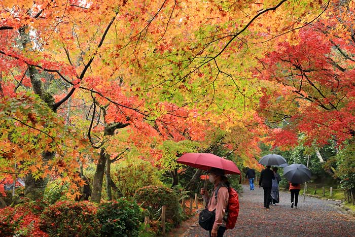 龍安寺