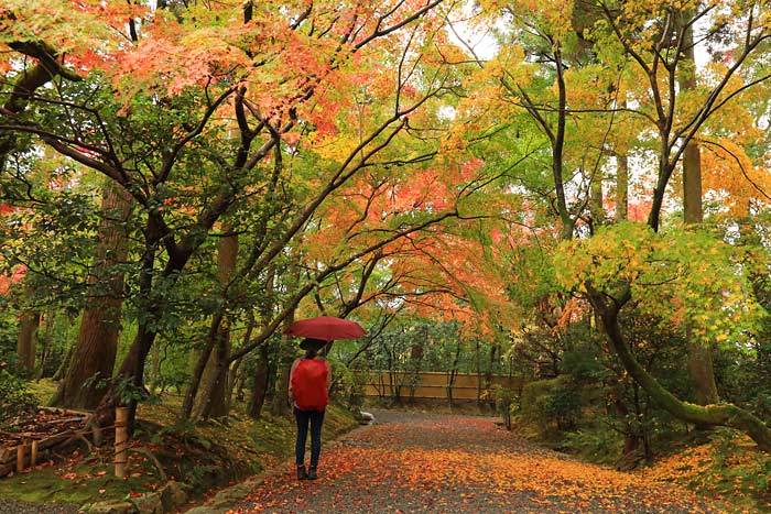 龍安寺