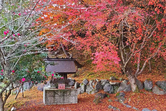 出世稲荷神社奥宮