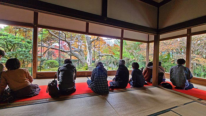 宝泉院