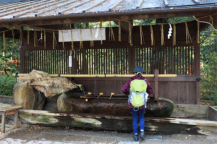 下鴨神社