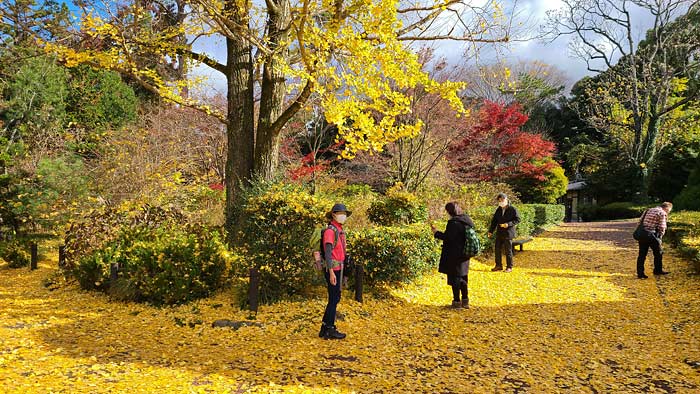 京都府立植物園