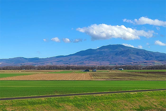 釧網本線車窓風景