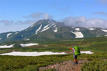 夏山イメージ