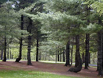 エルム高原家族旅行村