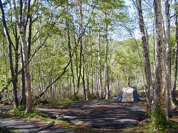 湯本温泉野営場