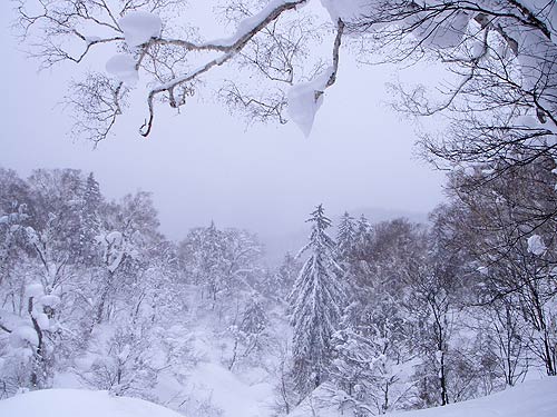 白い風景