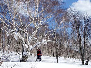 急斜面を登りきる