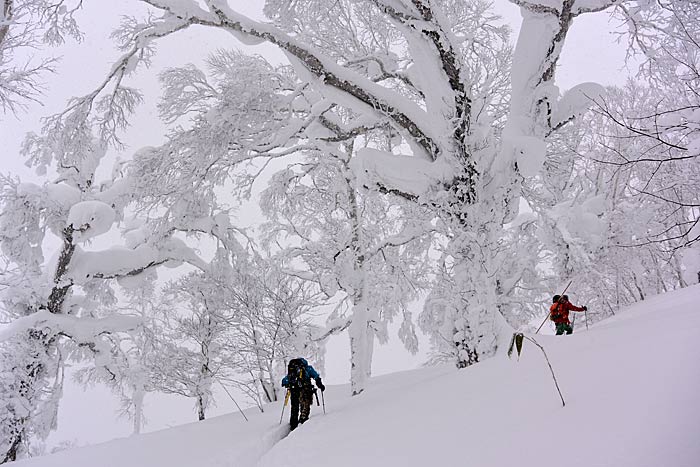 音江山