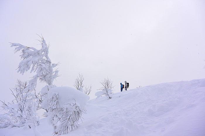 音江山