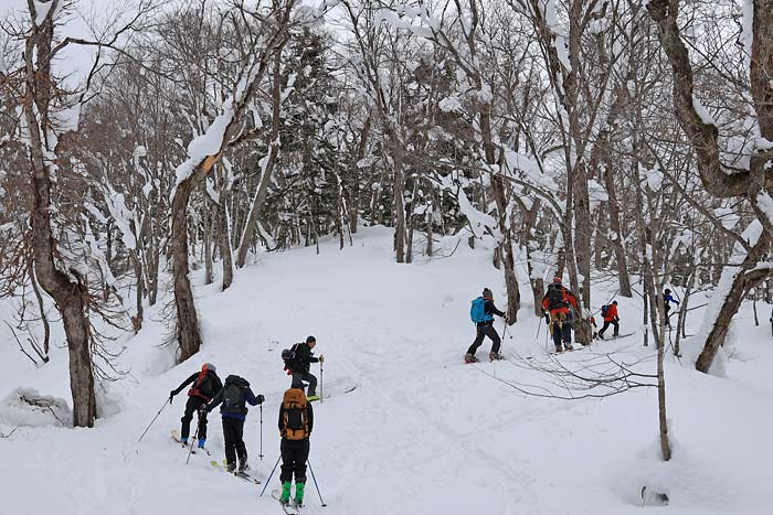 幌加内坊主山バックカントリー