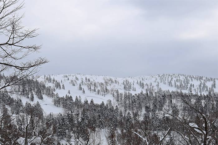 幌加内坊主山バックカントリー