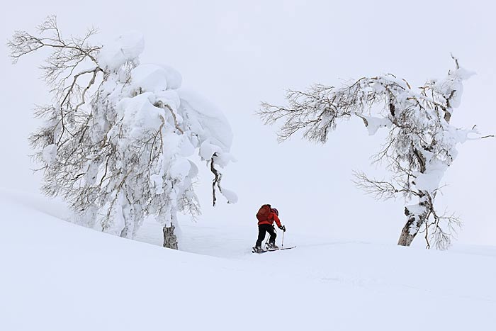 幌加内坊主山バックカントリー