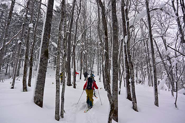 天幕山の山スキー