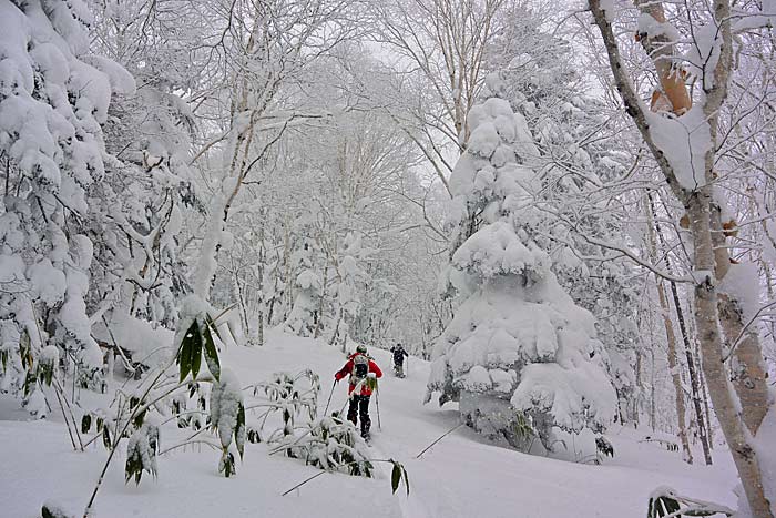 天幕山の山スキー