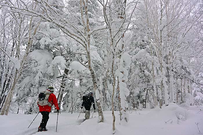 天幕山の山スキー