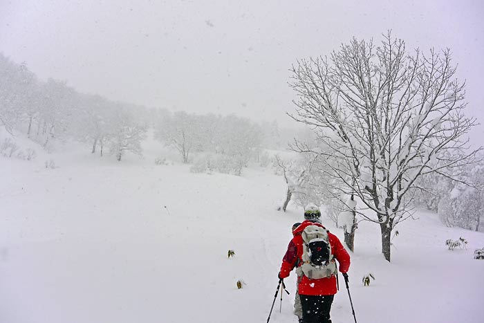 天幕山の山スキー